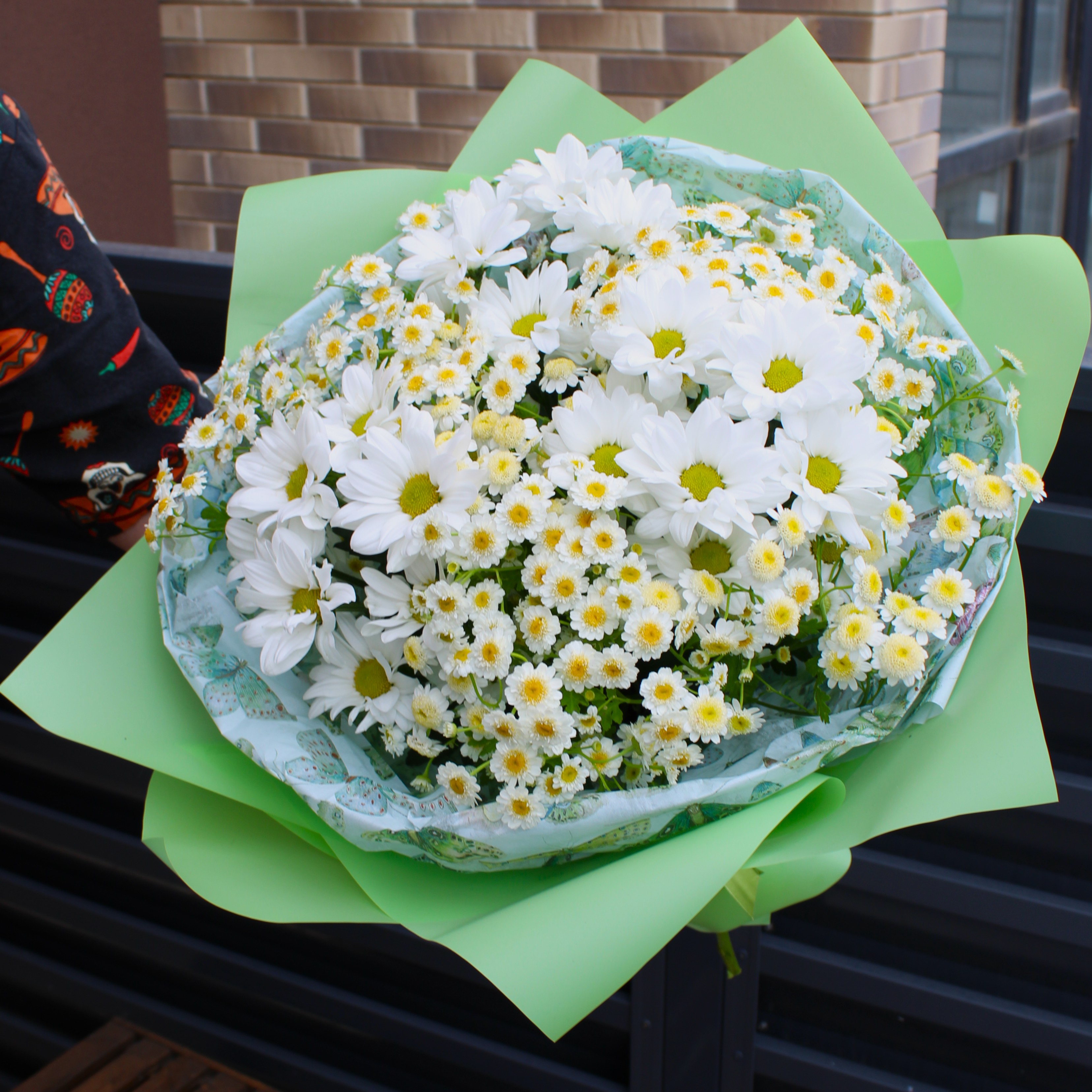 Сезон Ромашки
